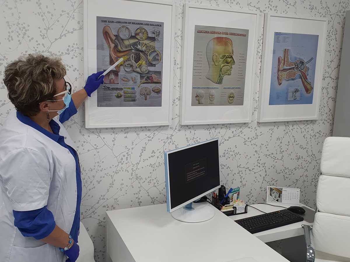 Lekarka przedstawiająca budowa ucha